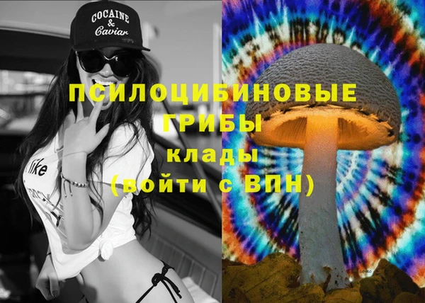 соль курить ск Алзамай