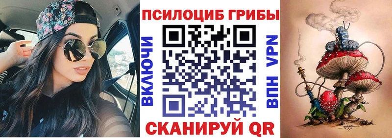 наркота  Муравленко  Галлюциногенные грибы Psilocybine cubensis 