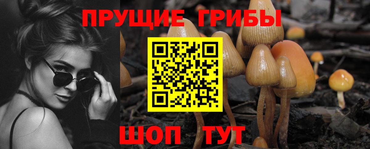 Муравленко  где найти наркотики  Вход с VPN  Псилоцибиновые грибы GOLDEN TEACHER 